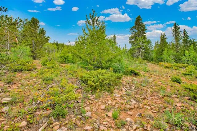 751 Lamb Mountain Road Fairplay, CO 80440
