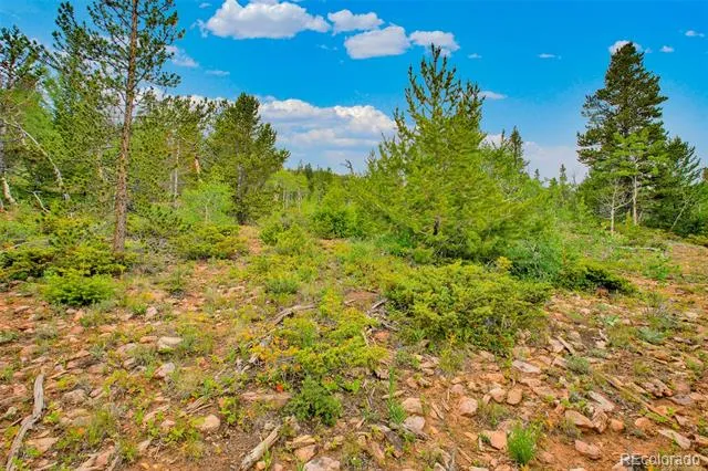 751 Lamb Mountain Road Fairplay, CO 80440