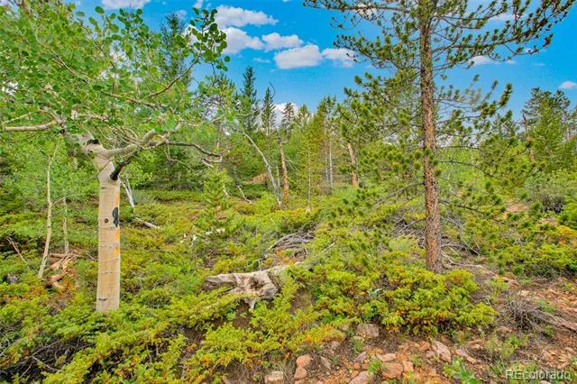 751 Lamb Mountain Road Fairplay, CO 80440