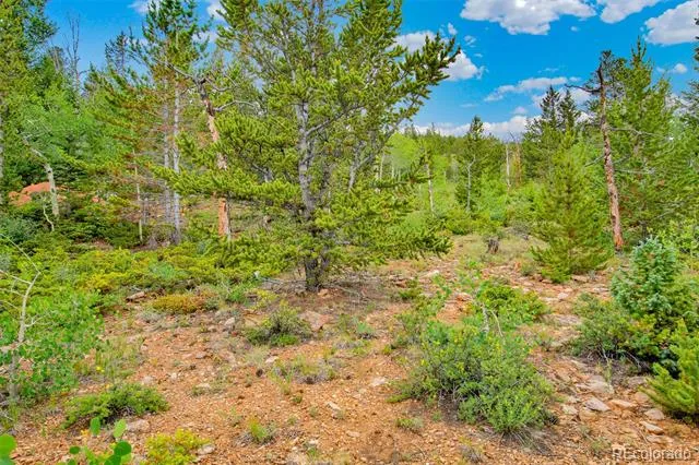 751 Lamb Mountain Road Fairplay, CO 80440