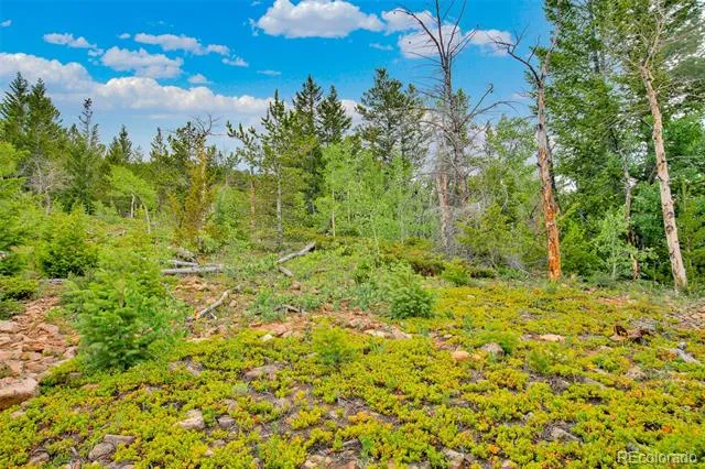751 Lamb Mountain Road Fairplay, CO 80440