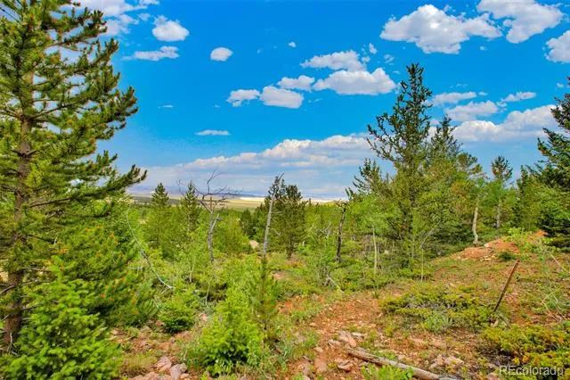 751 Lamb Mountain Road Fairplay, CO 80440