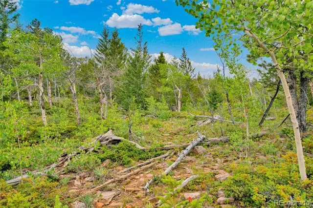 751 Lamb Mountain Road Fairplay, CO 80440