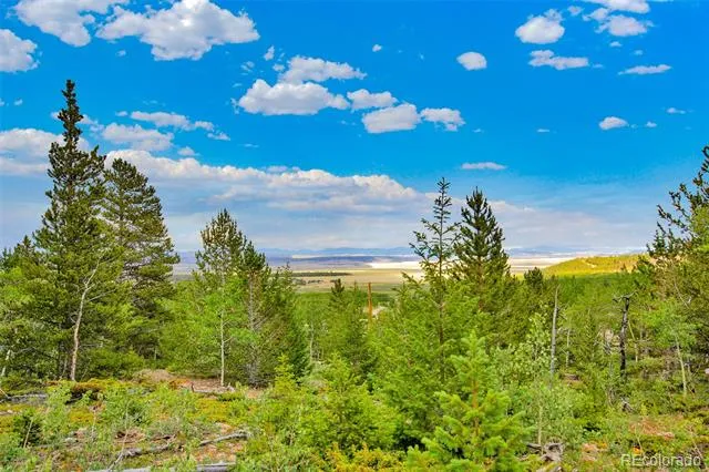 751 Lamb Mountain Road Fairplay, CO 80440