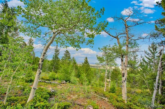 751 Lamb Mountain Road Fairplay, CO 80440