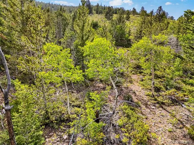 751 Lamb Mountain Road Fairplay, CO 80440