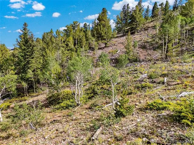 751 Lamb Mountain Road Fairplay, CO 80440