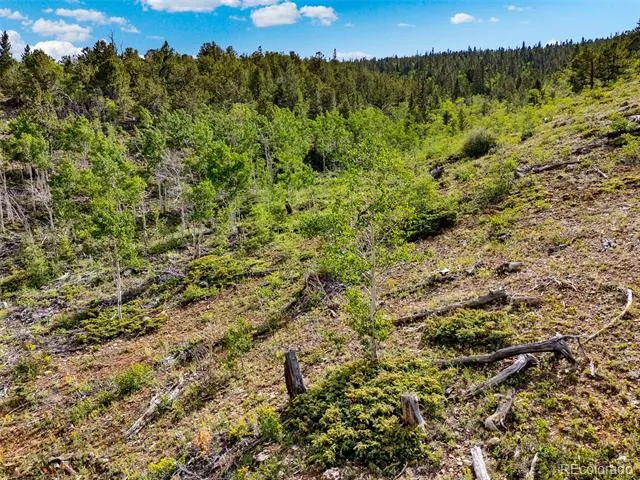 751 Lamb Mountain Road Fairplay, CO 80440