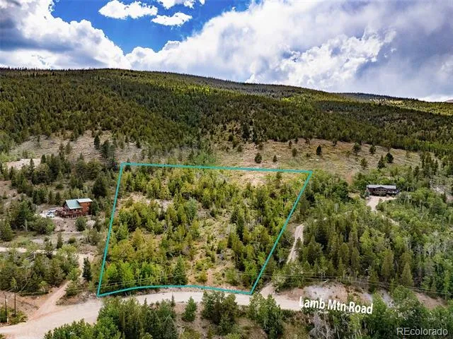 751 Lamb Mountain Road Fairplay, CO 80440