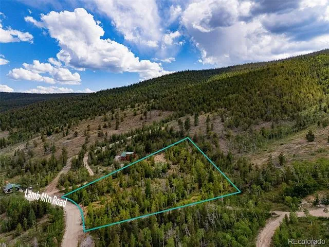 751 Lamb Mountain Road Fairplay, CO 80440