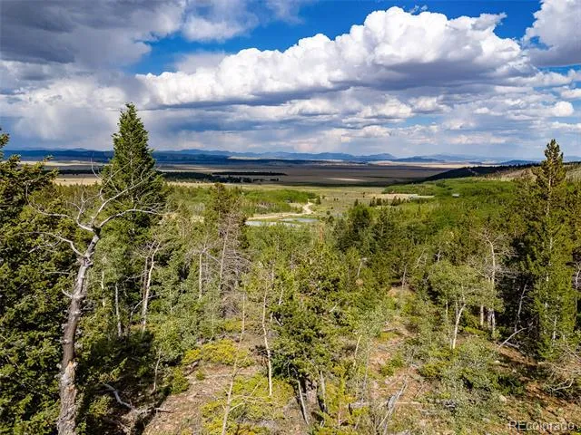 751 Lamb Mountain Road Fairplay, CO 80440