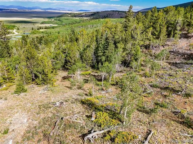 751 Lamb Mountain Road Fairplay, CO 80440