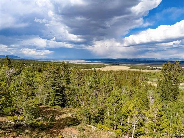 751 Lamb Mountain Road Fairplay, CO 80440