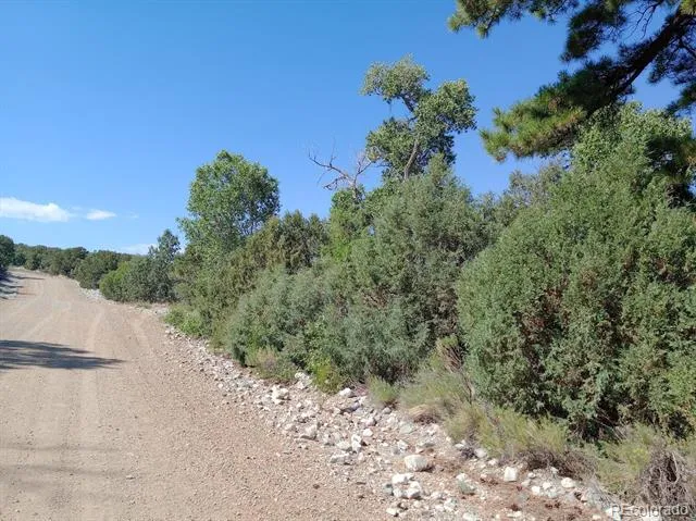 210,212,214 Big Bear Road Mosca, CO 81146