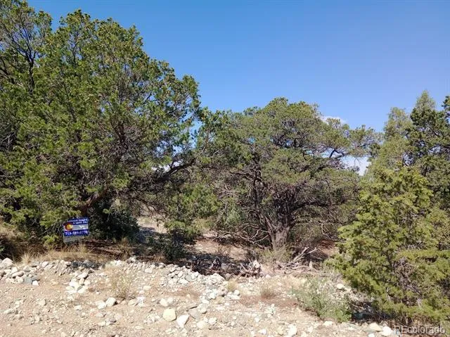210,212,214 Big Bear Road Mosca, CO 81146