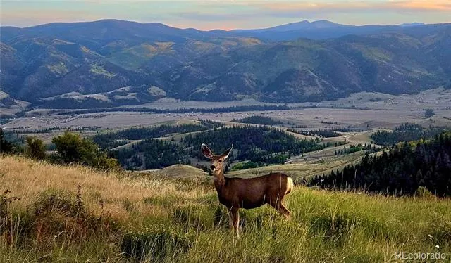 487 County Road 504 Bachelor Loop Creede, CO 81130