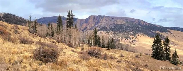 487 County Road 504 Bachelor Loop Creede, CO 81130