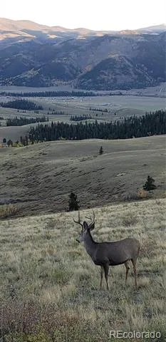 487 County Road 504 Bachelor Loop Creede, CO 81130