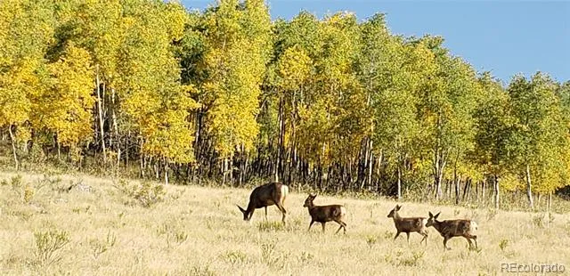 487 County Road 504 Bachelor Loop Creede, CO 81130