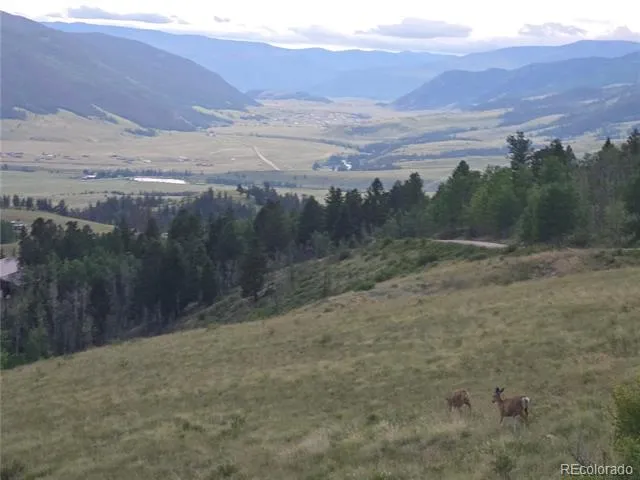 487 County Road 504 Bachelor Loop Creede, CO 81130