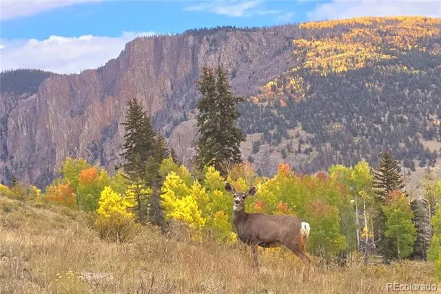 487 County Road 504 Bachelor Loop Creede, CO 81130