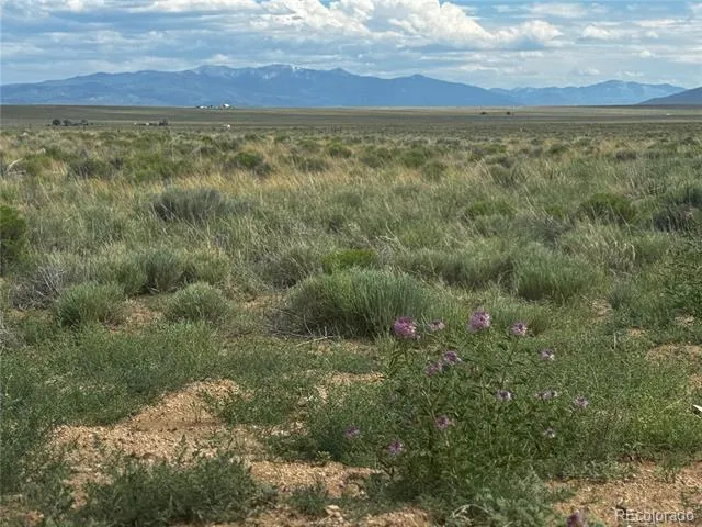 Lot 16 Nance Boulevard San Luis, CO 81152