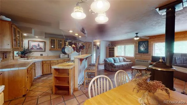 1011 Castle Ridge View Cripple Creek, CO 80813