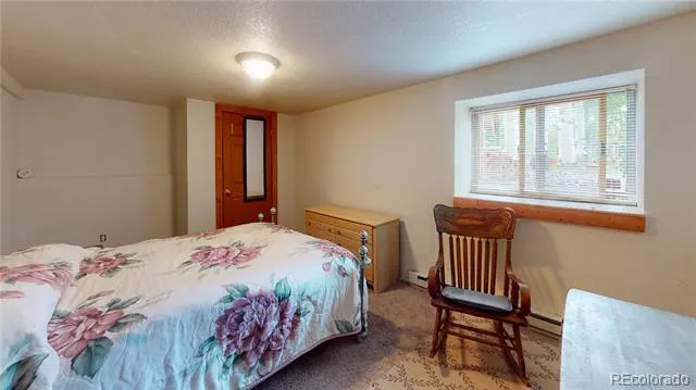 1011 Castle Ridge View Cripple Creek, CO 80813