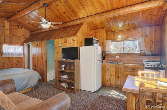 1004 W Main Street #5 Buena Vista, CO 81211