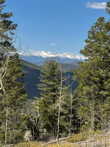 7266 Wood Rock Road Golden, CO 80403