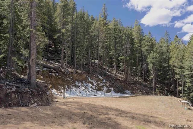 7266 Wood Rock Road Golden, CO 80403