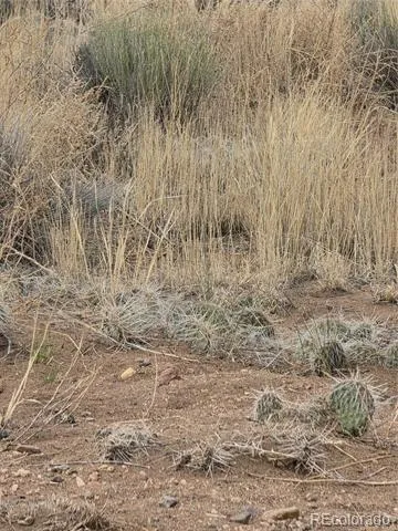 Lot 17 E Denver Rd. Blanca, CO 81123