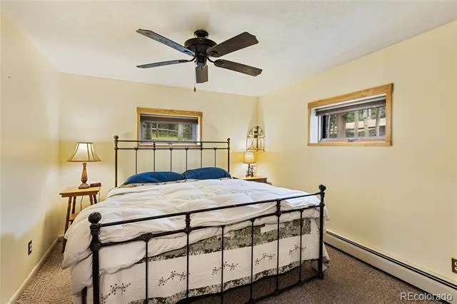 56 Blue Jay Lane Divide, CO 80814