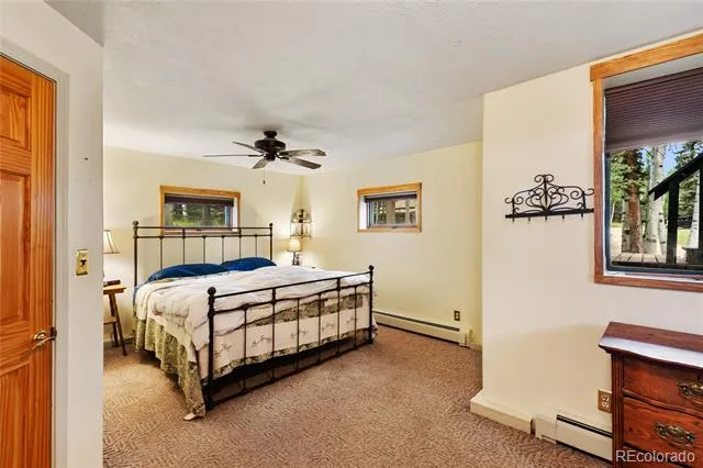 56 Blue Jay Lane Divide, CO 80814