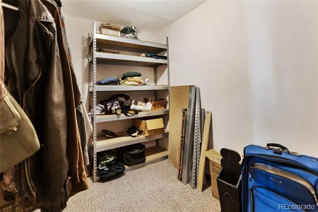 56 Blue Jay Lane Divide, CO 80814