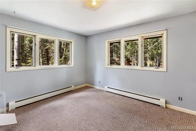 56 Blue Jay Lane Divide, CO 80814