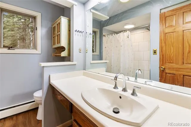 56 Blue Jay Lane Divide, CO 80814