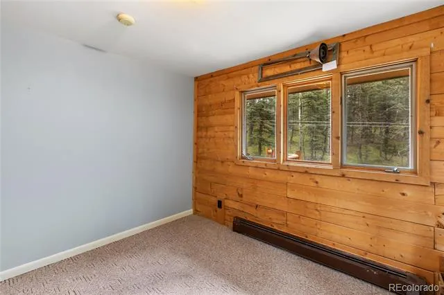 56 Blue Jay Lane Divide, CO 80814
