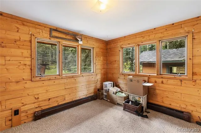 56 Blue Jay Lane Divide, CO 80814