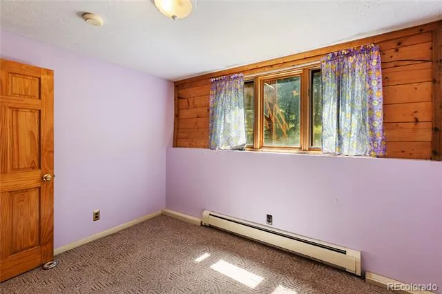56 Blue Jay Lane Divide, CO 80814