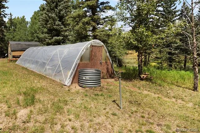 56 Blue Jay Lane Divide, CO 80814
