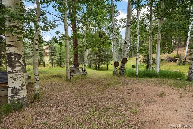 56 Blue Jay Lane Divide, CO 80814