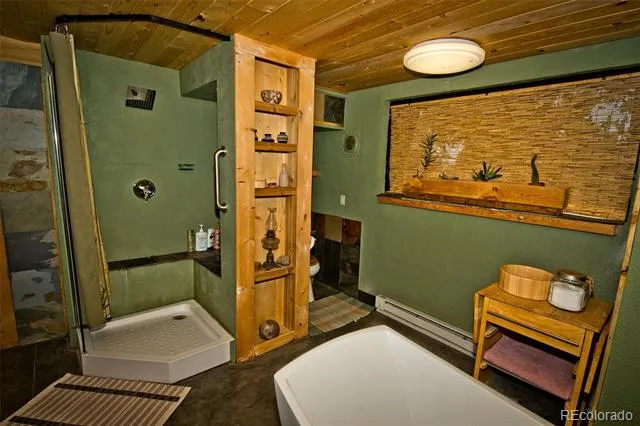5 Baca Grant Way Crestone, CO 81131