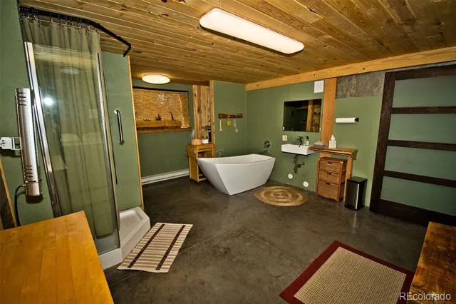 5 Baca Grant Way Crestone, CO 81131