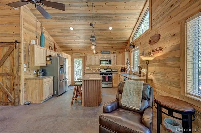22525 Barnhill Street Salida, CO 81201