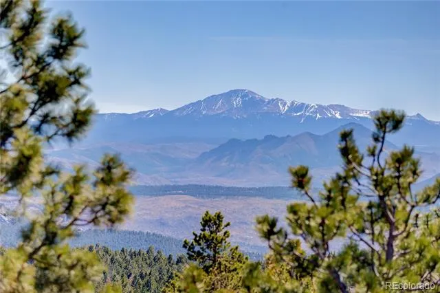 12461 Richmond Court Conifer, CO 80433