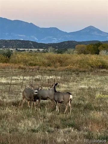 640 County Rd 571 Gardner, CO 81040