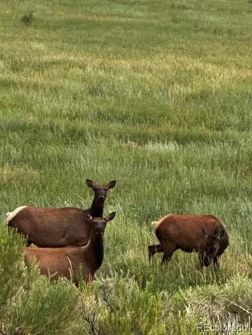 640 County Rd 571 Gardner, CO 81040