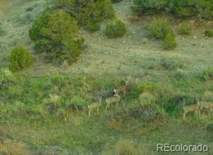 640 County Rd 571 Gardner, CO 81040