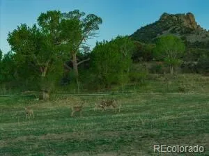 640 County Rd 571 Gardner, CO 81040